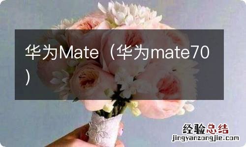 华为mate70 华为Mate