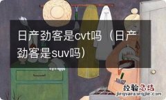 日产劲客是suv吗 日产劲客是cvt吗