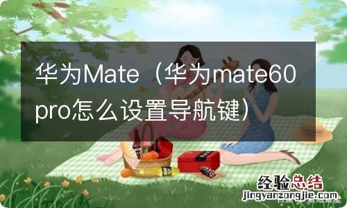 华为mate60pro怎么设置导航键 华为Mate