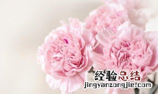 妈妈生日送什么花束比较好 妈妈生日送什么花