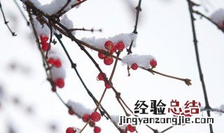 小雪节气推荐语简短 小雪节气推荐语