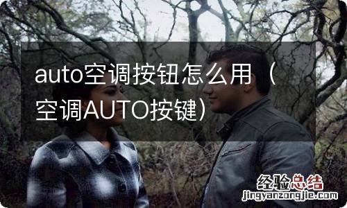 空调AUTO按键 auto空调按钮怎么用