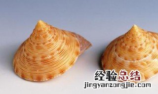 贝壳怎么处理保存 贝壳怎么处理?