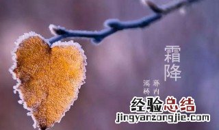 霜降节气语句 霜降节气推荐语