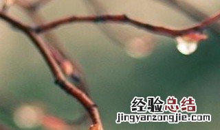 寒露节气推荐语 寒露节气语言绘本故事教案