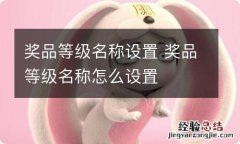 奖品等级名称设置 奖品等级名称怎么设置