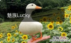 魅族Lucky