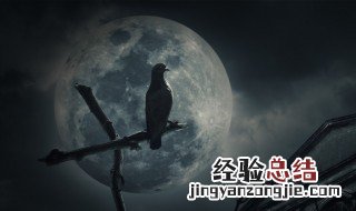 午夜是几点