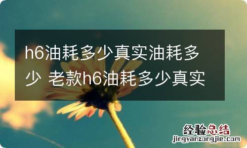 h6油耗多少真实油耗多少 老款h6油耗多少真实油耗