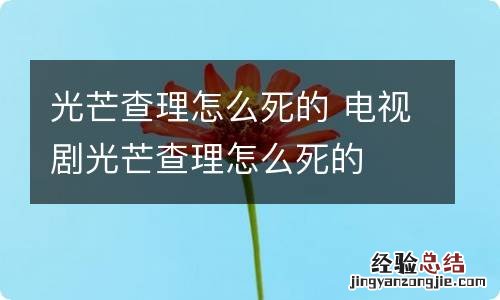 光芒查理怎么死的 电视剧光芒查理怎么死的