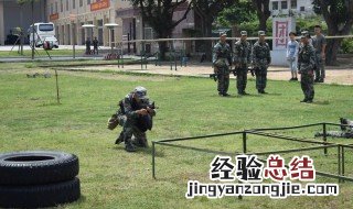 立正稍息规范动作 立正稍息规范动作是什么
