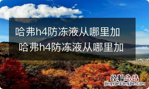 哈弗h4防冻液从哪里加 哈弗h4防冻液从哪里加视频