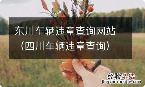 四川车辆违章查询 东川车辆违章查询网站