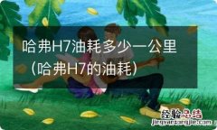 哈弗H7的油耗 哈弗H7油耗多少一公里