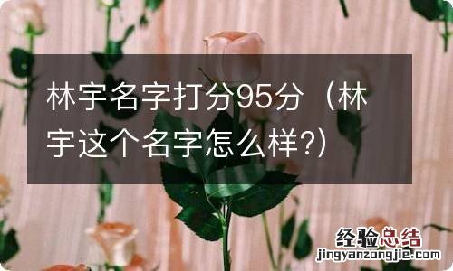 林宇这个名字怎么样? 林宇名字打分95分