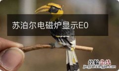 苏泊尔电磁炉显示E0