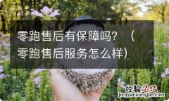 零跑售后服务怎么样 零跑售后有保障吗？