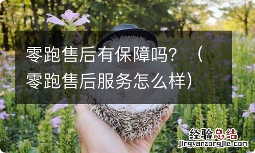 零跑售后服务怎么样 零跑售后有保障吗？