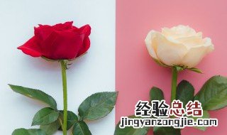 520送什么 520送什么给老婆最好