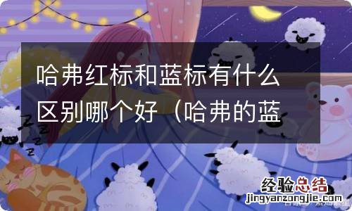 哈弗的蓝标和红标有什么区别 哈弗红标和蓝标有什么区别哪个好