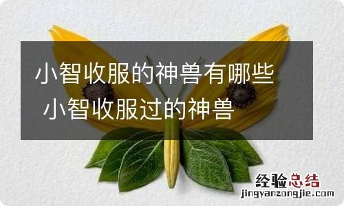 小智收服的神兽有哪些 小智收服过的神兽