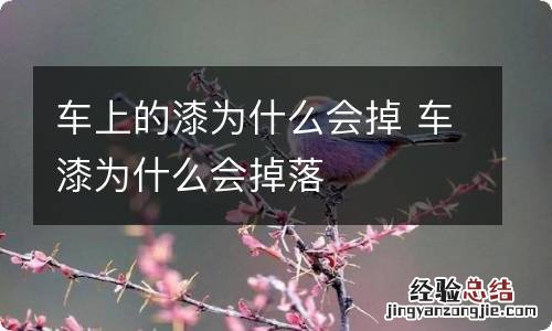 车上的漆为什么会掉 车漆为什么会掉落