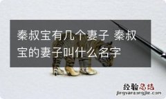 秦叔宝有几个妻子 秦叔宝的妻子叫什么名字