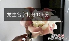 龙生名字打分109分