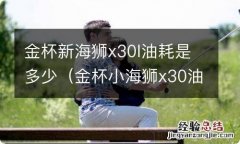 金杯小海狮x30油耗怎么样 金杯新海狮x30l油耗是多少