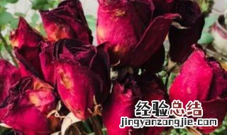 干花怎么制作和存放 干花怎么制作