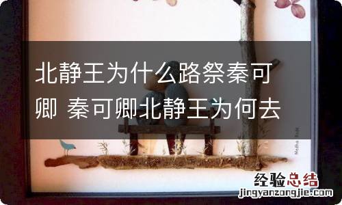 北静王为什么路祭秦可卿 秦可卿北静王为何去