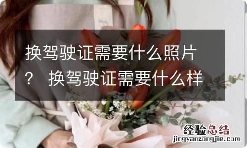换驾驶证需要什么照片？ 换驾驶证需要什么样的照片儿?