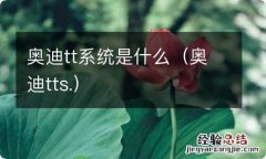 奥迪tts. 奥迪tt系统是什么