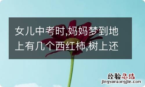 女儿中考时,妈妈梦到地上有几个西红柿,树上还有一个红色的是什