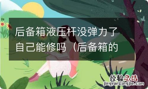 后备箱的液压杆能修吗 后备箱液压杆没弹力了自己能修吗