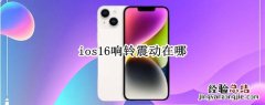 ios响铃模式振动 ios16响铃震动在哪