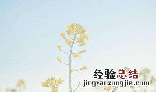 气质小清新网名 气质小清新网名女生