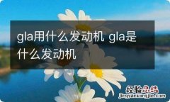 gla用什么发动机 gla是什么发动机