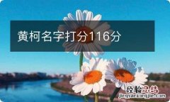 黄柯名字打分116分