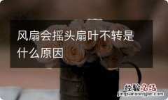 风扇会摇头扇叶不转是什么原因