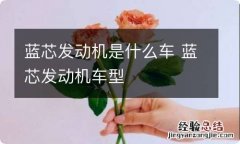 蓝芯发动机是什么车 蓝芯发动机车型