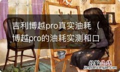 博越pro的油耗实测和口碑 吉利博越pro真实油耗