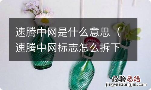 速腾中网标志怎么拆下来 速腾中网是什么意思