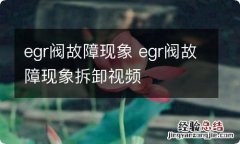 egr阀故障现象 egr阀故障现象拆卸视频