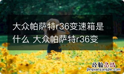 大众帕萨特r36变速箱是什么 大众帕萨特r36变速箱是什么品牌