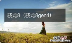 骁龙8gen4 骁龙8