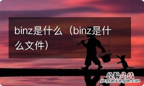 binz是什么文件 binz是什么