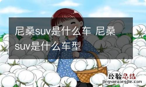 尼桑suv是什么车 尼桑suv是什么车型