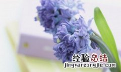 甜蜜思念早安情话 早晨甜蜜思念问候女朋友