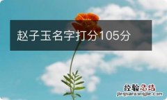 赵子玉名字打分105分